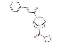 (1S*,5R*)-3-(cyclobutylcarbonyl)-6-[(2E)-3-phenylprop-2-enoyl]-3,6-diazabicyclo[3.2.2]nonane