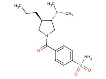 4-{[(3S*,4R*)-3-(dimethylamino)-4-propylpyrrolidin-1-yl]carbonyl}benzenesulfonamide