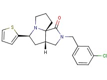 (3aS*,5S*,9aS*)-2-(3-chlorobenzyl)-5-(2-thienyl)hexahydro-7H-pyrrolo[3,4-g]pyrrolizin-1(2H)-one