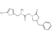 2-(4-benzyl-2-oxopyrrolidin-1-yl)-N-methyl-N-[(5-methyl-2-thienyl)methyl]acetamide