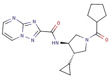 N-[(3R*,4S*)-1-(cyclopentylcarbonyl)-4-cyclopropylpyrrolidin-3-yl][1,2,4]triazolo[1,5-a]pyrimidine-2-carboxamide