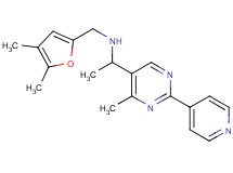 N-[(4,5-dimethyl-2-furyl)methyl]-1-[4-methyl-2-(4-pyridinyl)-5-pyrimidinyl]ethanamine