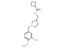 N-{[1-(4-methoxy-3-methylbenzyl)pyrrolidin-3-yl]methyl}cyclobutanecarboxamide