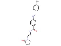 4-[(4-methylbenzyl)amino]-N-[2-(2-oxopyrrolidin-1-yl)ethyl]benzamide
