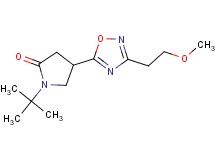 1-tert-butyl-4-[3-(2-methoxyethyl)-1,2,4-oxadiazol-5-yl]-2-pyrrolidinone
