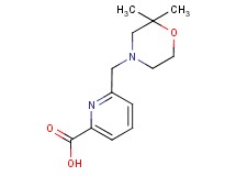 6-[(2,2-dimethylmorpholin-4-yl)methyl]pyridine-2-carboxylic acid