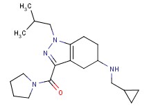 N-(cyclopropylmethyl)-1-isobutyl-3-(1-pyrrolidinylcarbonyl)-4,5,6,7-tetrahydro-1H-indazol-5-amine