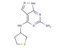 N~4~-(tetrahydro-3-thienyl)-1H-pyrazolo[3,4-d]pyrimidine-4,6-diamine