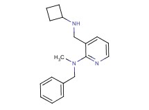 N-benzyl-3-[(cyclobutylamino)methyl]-N-methyl-2-pyridinamine