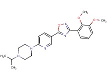 1-{5-[3-(2,3-dimethoxyphenyl)-1,2,4-oxadiazol-5-yl]-2-pyridinyl}-4-isopropylpiperazine