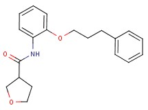 N-[2-(3-phenylpropoxy)phenyl]tetrahydrofuran-3-carboxamide