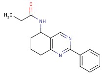 N-(2-phenyl-5,6,7,8-tetrahydro-5-quinazolinyl)propanamide