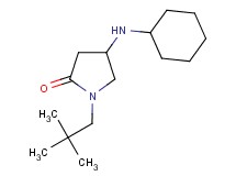 4-(cyclohexylamino)-1-(2,2-dimethylpropyl)-2-pyrrolidinone