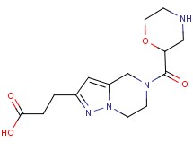 3-[5-(2-morpholinylcarbonyl)-4,5,6,7-tetrahydropyrazolo[1,5-a]pyrazin-2-yl]propanoic acid