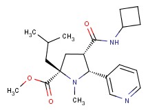 methyl (2S*,4S*,5R*)-4-[(cyclobutylamino)carbonyl]-2-isobutyl-1-methyl-5-(3-pyridinyl)-2-pyrrolidinecarboxylate