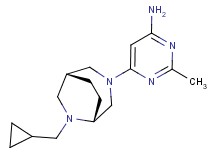 6-[(1R*,5R*)-6-(cyclopropylmethyl)-3,6-diazabicyclo[3.2.2]non-3-yl]-2-methylpyrimidin-4-amine