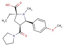 (2S*,4S*,5R*)-2-ethyl-5-(4-methoxyphenyl)-1-methyl-4-(pyrrolidin-1-ylcarbonyl)pyrrolidine-2-carboxylic acid