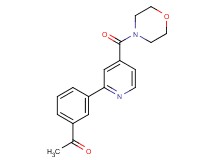 1-{3-[4-(morpholin-4-ylcarbonyl)pyridin-2-yl]phenyl}ethanone