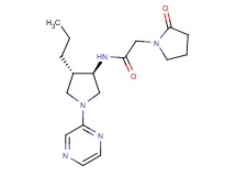 2-(2-oxo-1-pyrrolidinyl)-N-[(3R*,4S*)-4-propyl-1-(2-pyrazinyl)-3-pyrrolidinyl]acetamide
