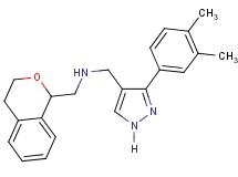 (3,4-dihydro-1H-isochromen-1-ylmethyl){[3-(3,4-dimethylphenyl)-1H-pyrazol-4-yl]methyl}amine