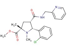 methyl (2S*,4S*,5R*)-5-(2-chlorophenyl)-1,2-dimethyl-4-{[(2-pyridinylmethyl)amino]carbonyl}-2-pyrrolidinecarboxylate