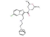 2-[(1S*,2S*,4S*)-bicyclo[2.2.1]hept-5-en-2-yl]-N-[(6-chloro-2-{[(2R*,6S*)-2,6-dimethyl-4-morpholinyl]carbonyl}imidazo[1,2-a]pyridin-3-yl)methyl]ethanamine