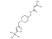 N-({1-[(5-tert-butyl-1H-pyrazol-3-yl)methyl]piperidin-4-yl}methyl)-3-methylbut-2-enamide