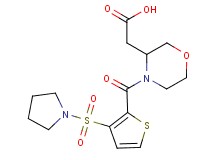 (4-{[3-(1-pyrrolidinylsulfonyl)-2-thienyl]carbonyl}-3-morpholinyl)acetic acid