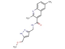 N-{[5-(methoxymethyl)-1H-pyrazol-3-yl]methyl}-2,6-dimethylquinoline-3-carboxamide