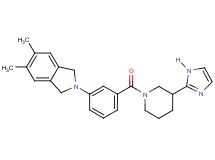 2-(3-{[3-(1H-imidazol-2-yl)piperidin-1-yl]carbonyl}phenyl)-5,6-dimethylisoindoline