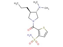 2-{[(3S*,4R*)-3-(dimethylamino)-4-propyl-1-pyrrolidinyl]carbonyl}-3-thiophenesulfonamide