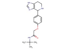 N-(tert-butyl)-2-[4-(4,5,6,7-tetrahydro-1H-imidazo[4,5-c]pyridin-4-yl)phenoxy]acetamide