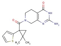 2-amino-7-{[2,2-dimethyl-1-(2-thienyl)cyclopropyl]carbonyl}-5,6,7,8-tetrahydropyrido[3,4-d]pyrimidin-4(3H)-one
