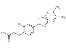 2-[2-chloro-4-(5,6-dimethyl-1H-benzimidazol-2-yl)phenoxy]acetamide