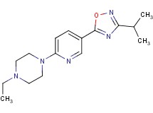 1-ethyl-4-[5-(3-isopropyl-1,2,4-oxadiazol-5-yl)-2-pyridinyl]piperazine