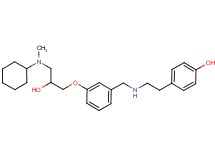 4-{2-[(3-{3-[cyclohexyl(methyl)amino]-2-hydroxypropoxy}benzyl)amino]ethyl}phenol