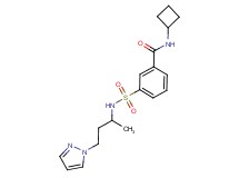 N-cyclobutyl-3-({[1-methyl-3-(1H-pyrazol-1-yl)propyl]amino}sulfonyl)benzamide