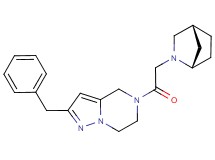 5-[(1S*,4R*)-2-azabicyclo[2.2.1]hept-2-ylacetyl]-2-benzyl-4,5,6,7-tetrahydropyrazolo[1,5-a]pyrazine
