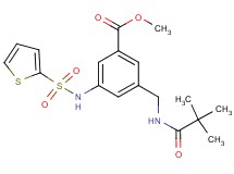 methyl 3-{[(2,2-dimethylpropanoyl)amino]methyl}-5-[(2-thienylsulfonyl)amino]benzoate