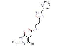 2-(2-ethyl-4-methyl-6-oxo-1,6-dihydropyrimidin-5-yl)-N-[2-(3-pyridin-2-yl-1,2,4-oxadiazol-5-yl)ethyl]acetamide