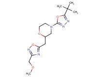 4-(5-tert-butyl-1,3,4-oxadiazol-2-yl)-2-{[3-(methoxymethyl)-1,2,4-oxadiazol-5-yl]methyl}morpholine