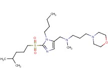 ({1-butyl-2-[(4-methylpentyl)sulfonyl]-1H-imidazol-5-yl}methyl)methyl[3-(4-morpholinyl)propyl]amine