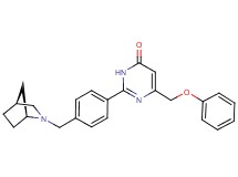 2-{4-[(1S*,4S*)-2-azabicyclo[2.2.1]hept-2-ylmethyl]phenyl}-6-(phenoxymethyl)-4(3H)-pyrimidinone