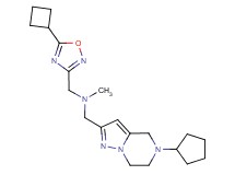 1-(5-cyclobutyl-1,2,4-oxadiazol-3-yl)-N-[(5-cyclopentyl-4,5,6,7-tetrahydropyrazolo[1,5-a]pyrazin-2-yl)methyl]-N-methylmethanamine