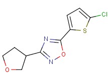 5-(5-chloro-2-thienyl)-3-(tetrahydrofuran-3-yl)-1,2,4-oxadiazole