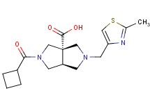 (3aS*,6aS*)-2-(cyclobutylcarbonyl)-5-[(2-methyl-1,3-thiazol-4-yl)methyl]hexahydropyrrolo[3,4-c]pyrrole-3a(1H)-carboxylic acid
