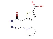 5-(3-oxo-5-pyrrolidin-1-yl-2,3-dihydropyridazin-4-yl)thiophene-2-carboxylic acid