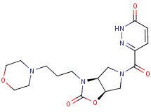 (3aS*,6aR*)-3-(3-morpholin-4-ylpropyl)-5-[(6-oxo-1,6-dihydropyridazin-3-yl)carbonyl]hexahydro-2H-pyrrolo[3,4-d][1,3]oxazol-2-one