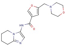 5-(morpholin-4-ylmethyl)-N-(5,6,7,8-tetrahydroimidazo[1,2-a]pyridin-3-yl)-3-furamide