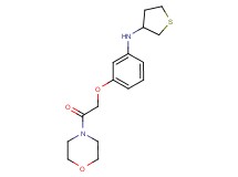 N-{3-[2-(4-morpholinyl)-2-oxoethoxy]phenyl}tetrahydro-3-thiophenamine